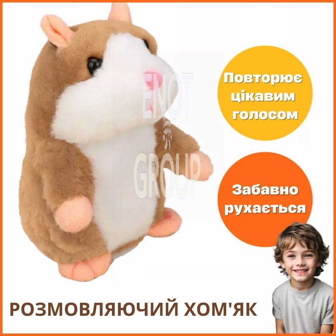 251.jpg