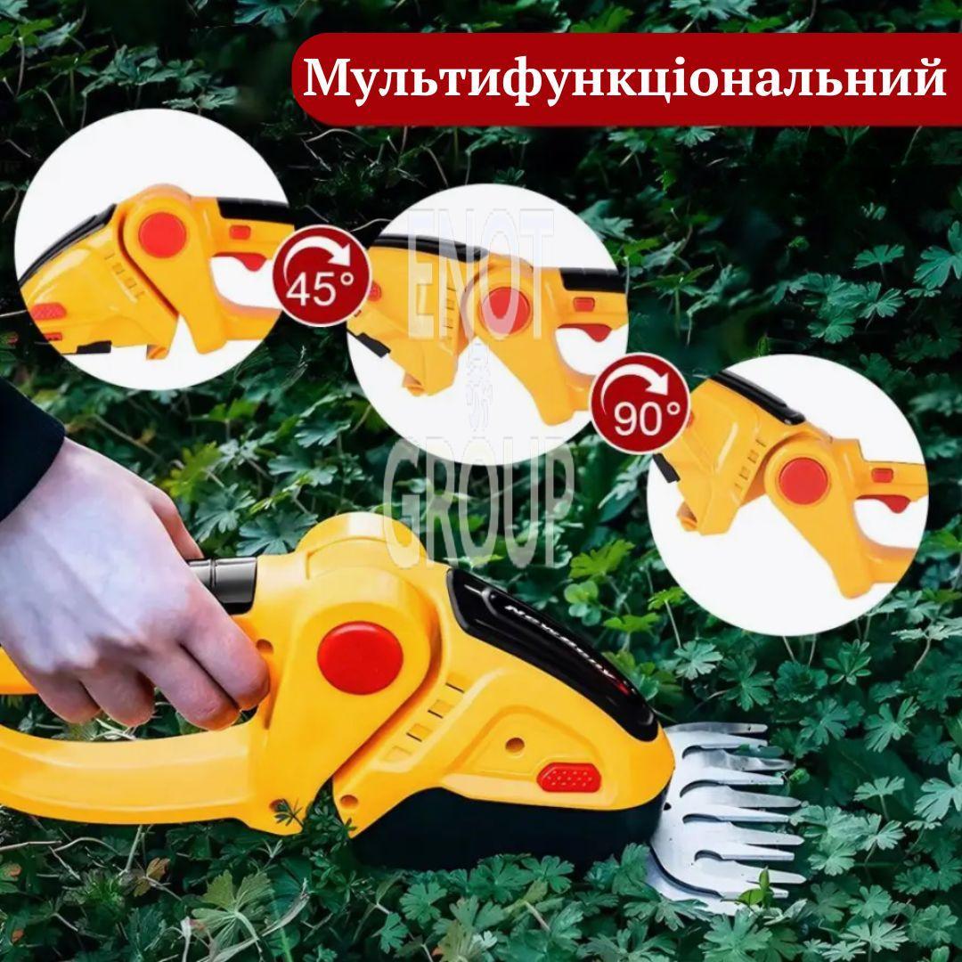 318.jpg